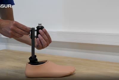 Pro-