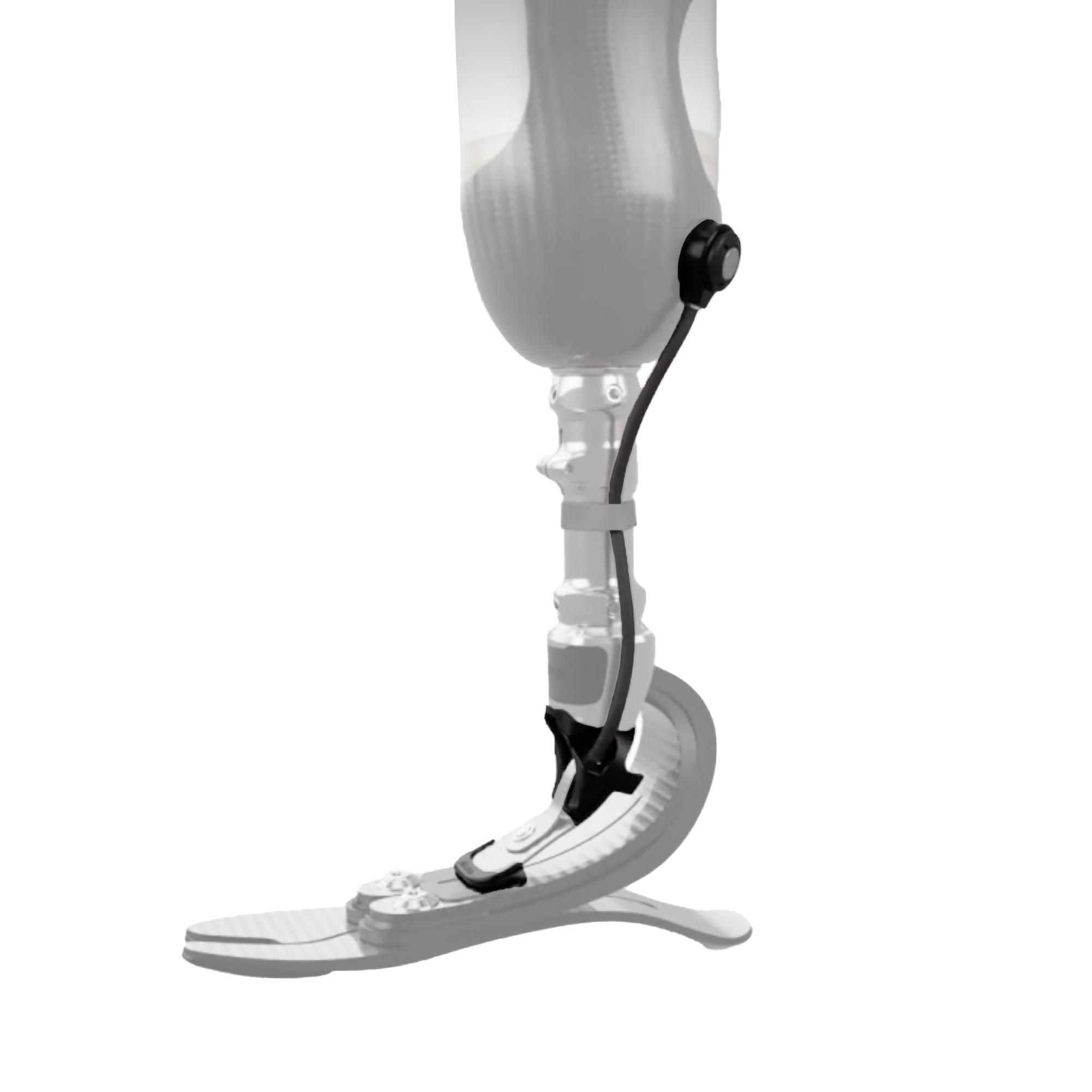 Pie protésico Pro-Flex | Össur